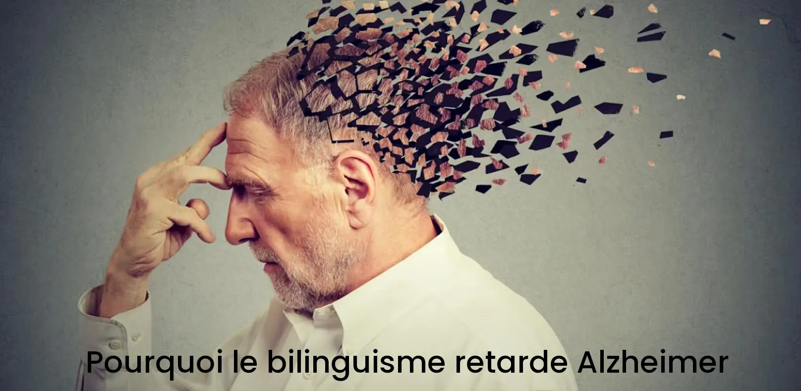 Statistiques 2025 protection bilinguisme alzheimer cerveau bilingue